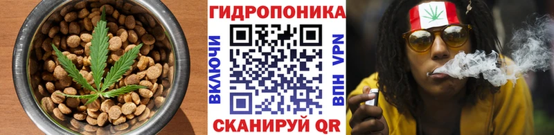 что такое   Кировск  Canna-Cookies марихуана 