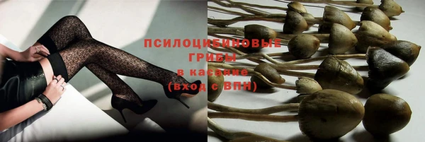 винт Аркадак