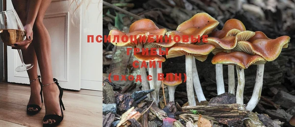 винт Аркадак