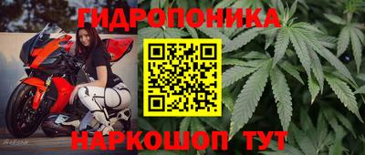 спайс Волжский